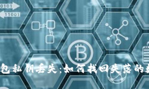 小狐狸钱包私钥丢失：如何找回失落的数字财富？