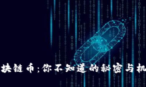 区块链币：你不知道的秘密与机会