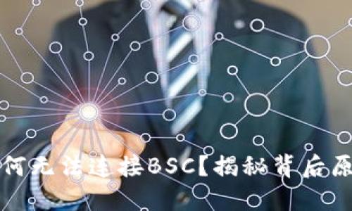 小狐狸钱包为何无法连接BSC？揭秘背后原因与解决方案