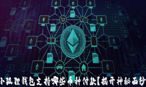 
小狐狸钱包支持哪些币种付款？揭开神秘面纱！