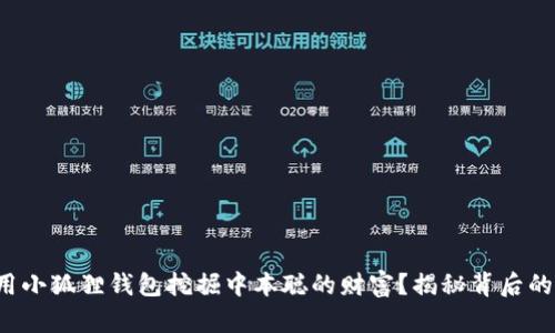 如何用小狐狸钱包挖掘中本聪的财富？揭秘背后的秘密！