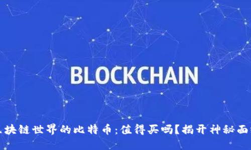 区块链世界的比特币：值得买吗？揭开神秘面纱