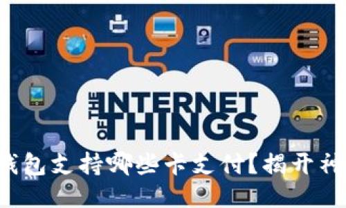 小狐狸钱包支持哪些卡支付？揭开神秘面纱！