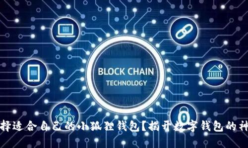 如何选择适合自己的小狐狸钱包？揭开数字钱包的神秘面纱