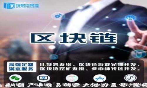 
区块链的未来：国产币交易的五大潜力巨星，谁将引领潮流？