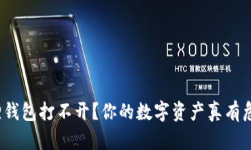 小狐狸钱包打不开？你的数字资产真有危险吗？