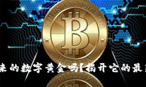 区块链：未来的数字黄金吗？揭开它的最新价值之谜