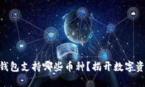MetaMask钱包支持哪些币种？揭开数字资产的新面纱