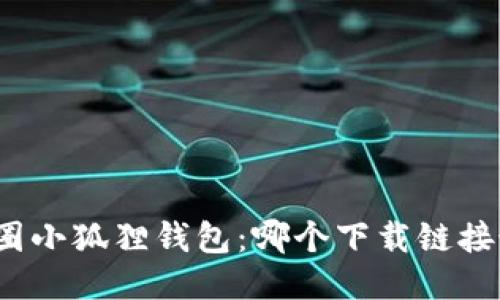 探索币圈小狐狸钱包：哪个下载链接最安全？