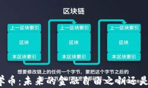 
区块链数学币：未来的金融自由之钥还是一场空梦？