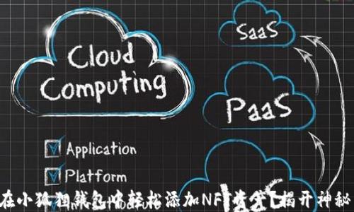 
如何在小狐狸钱包中轻松添加NFT资产？揭开神秘面纱！