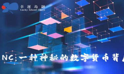 区块链ENC：一种神秘的数字货币背后的故事
