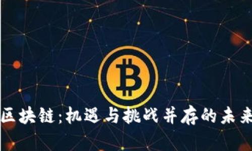 中东区块链：机遇与挑战并存的未来之路