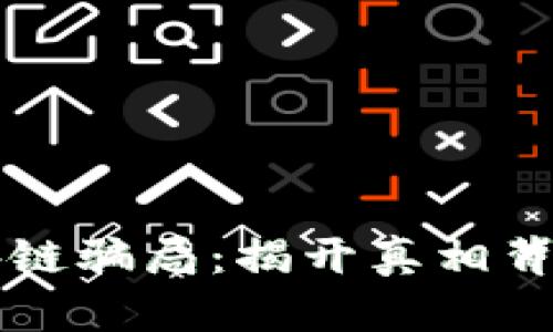 福瑞区块链骗局：揭开真相背后的谜团