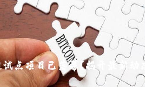 区块链试点项目已落幕？揭开最新动态之谜！