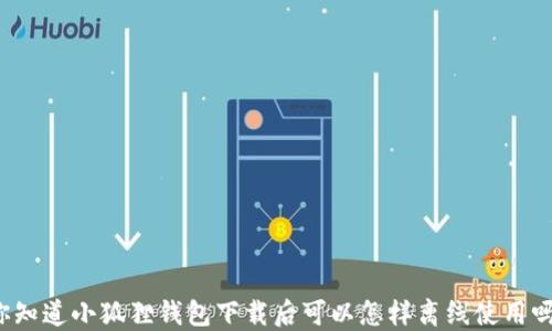 
你知道小狐狸钱包下载后可以怎样离线使用吗？