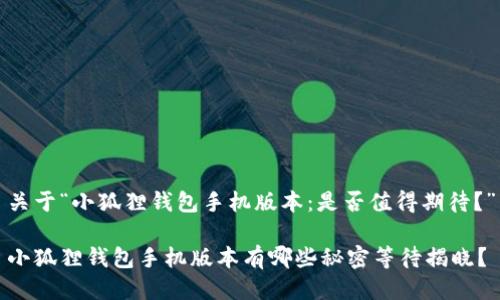 关于“小狐狸钱包手机版本：是否值得期待？”

小狐狸钱包手机版本有哪些秘密等待揭晓？