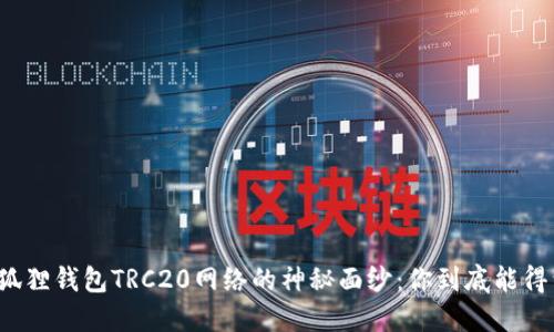揭开小狐狸钱包TRC20网络的神秘面纱：你到底能得到什么？