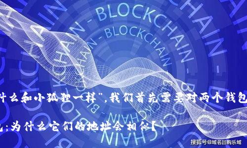 为了理解“Ronin钱包地址为什么和小狐狸一样”,我们首先需要对两个钱包的背景和工作机制进行分析。
## Ronin钱包和小狐狸钱包:为什么它们的地址会相似?