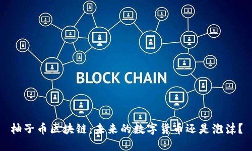 柚子币区块链：未来的数字货币还是泡沫？