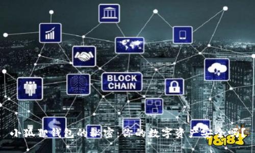 小狐狸钱包的秘密：你的数字资产安全吗？