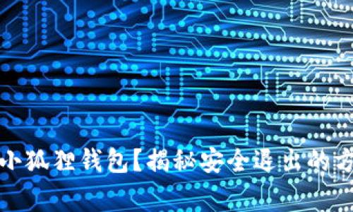 如何正确退出小狐狸钱包？揭秘安全退出的方法与注意事项