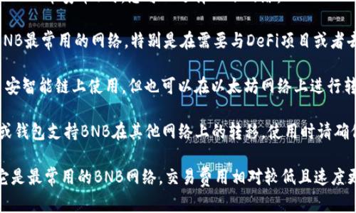 在使用小狐狸钱包（Fox Wallet）接收BNB（币安币）时，您可以选择以下网络：

1. **BSC（币安智能链）**：这是接收BNB最常用的网络，特别是在需要与DeFi项目或者去中心化交易所（DEX）进行交互时。
   
2. **ERC-20**：虽然BNB主要是在币安智能链上使用，但也可以在以太坊网络上进行转移，但这并不是常见做法。

3. **其他支持的网络**：有些交易所或钱包支持BNB在其他网络上的转移，使用时请确保您选择的网络能够与接收钱包兼容。

对于初学者，建议使用BSC网络，因为它是最常用的BNB网络，交易费用相对较低且速度更快。