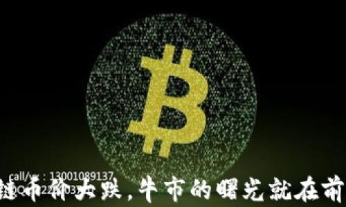 
区块链币价大跌，牛市的曙光就在前方吗？