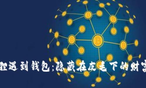 当狐狸遇到钱包：隐藏在皮毛下的财富秘密