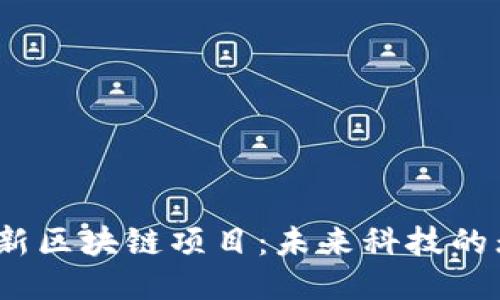 2023年最新区块链项目：未来科技的无限可能性