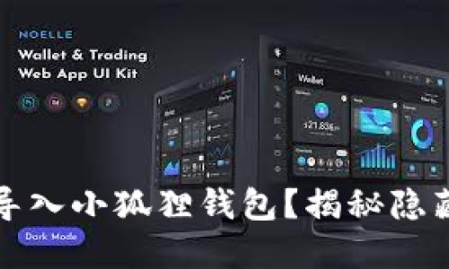 如何用助记词导入小狐狸钱包？揭秘隐藏的步骤与技巧