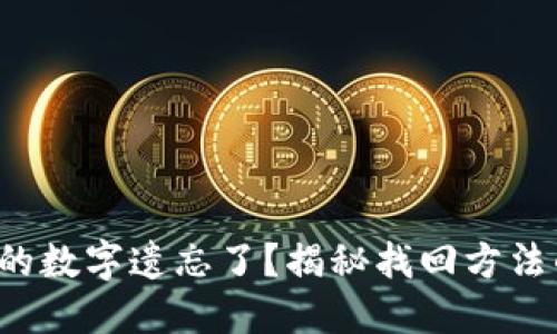小狐狸钱包的数字遗忘了？揭秘找回方法的终极指南！