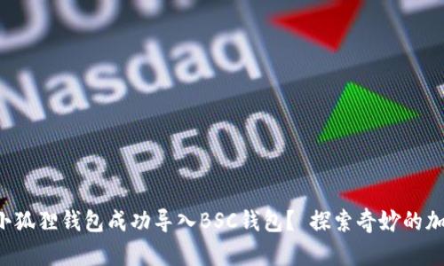 如何将小狐狸钱包成功导入BSC钱包? 探索奇妙的加密世界!