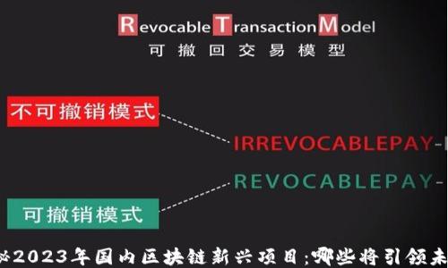 
揭秘2023年国内区块链新兴项目：哪些将引领未来？