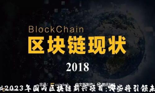 揭秘2023年国内区块链新兴项目:哪些将引领未来?