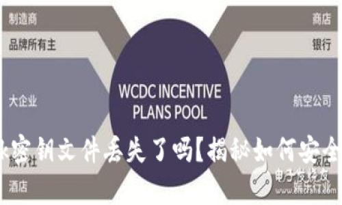 你的MetaMask密钥文件丢失了吗？揭秘如何安全恢复你的钱包！