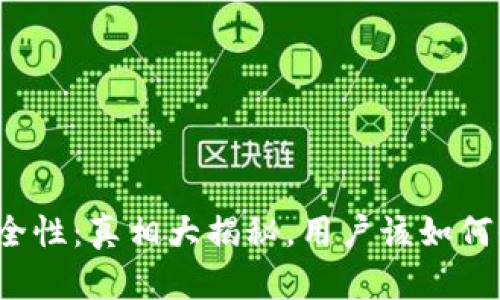 小狐狸钱包的安全性：真相大揭秘，用户该如何保护自己的资产？