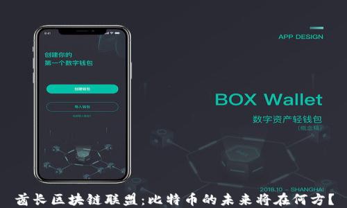 
酋长区块链联盟：比特币的未来将在何方？