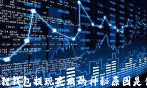 
小狐狸钱包提现失败的神秘原因是什么？