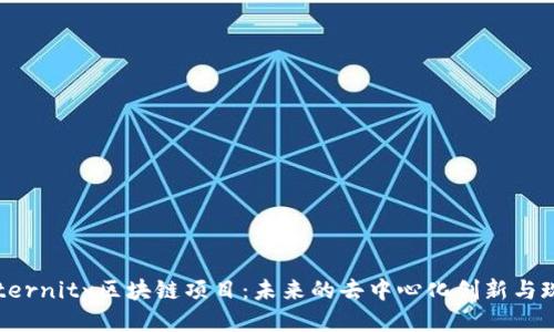 揭秘Aeternity区块链项目：未来的去中心化创新与现状之谜