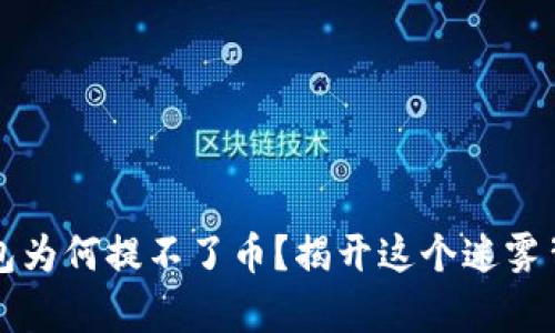 小狐狸钱包为何提不了币？揭开这个迷雾背后的真相