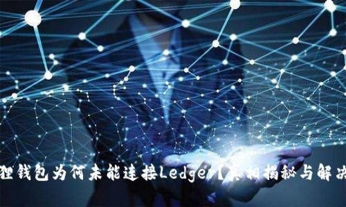 小狐狸钱包为何未能连接Ledger？真相揭秘与解决方案