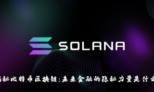 揭秘比特币区块链：未来金融的隐秘力量是什么？