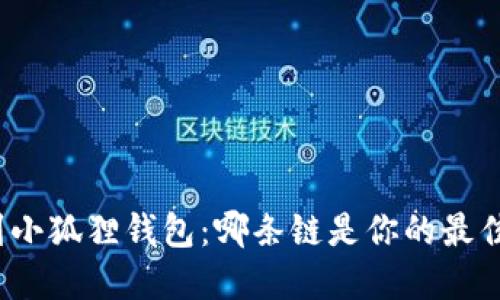 提币到小狐狸钱包：哪条链是你的最佳选择？