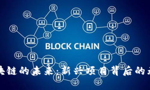 探秘区块链的未来：新兴项目背后的无限可能