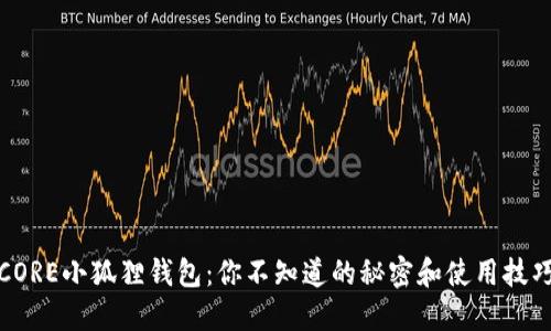 CORE小狐狸钱包：你不知道的秘密和使用技巧