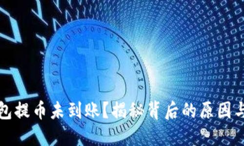 小狐狸钱包提币未到账？揭秘背后的原因与解决方案