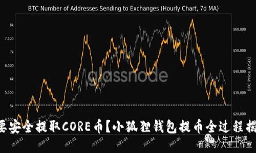 想要安全提取CORE币？小狐狸钱包提币全过程揭秘！
