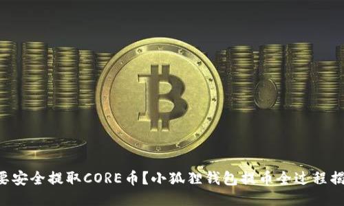 想要安全提取CORE币？小狐狸钱包提币全过程揭秘！