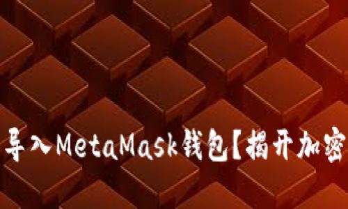 如何使用助记词导入MetaMask钱包？揭开加密世界的神秘面纱